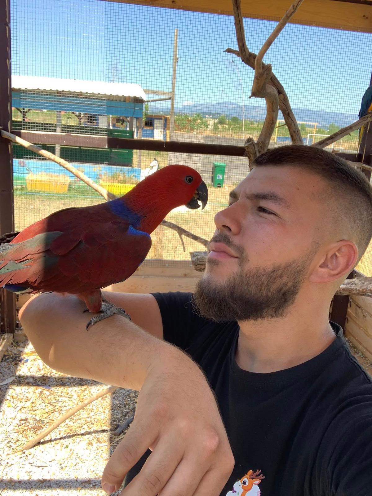 Papige u ZOO Bambiju – šarene, pričljive i omiljene među posjetiteljima.